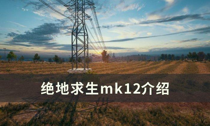 绝地求生mk12怎么样