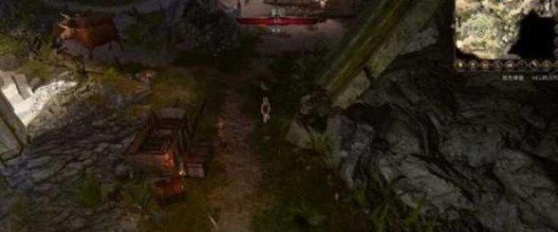 《博德之门3》德鲁伊神像怎么偷-偷德鲁伊神像方法攻略