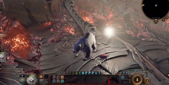 《博德之门3》德鲁伊能变成什么动物-德鲁伊可变形态介绍