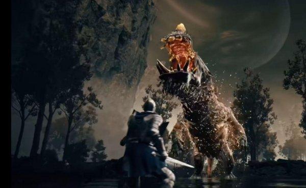 艾尔登法环DLC千枯花束怎么收集-护符千枯花束获取流程