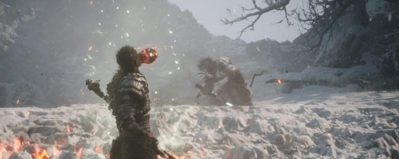 黑神话九秋菊怎么获得-九秋菊获得方法