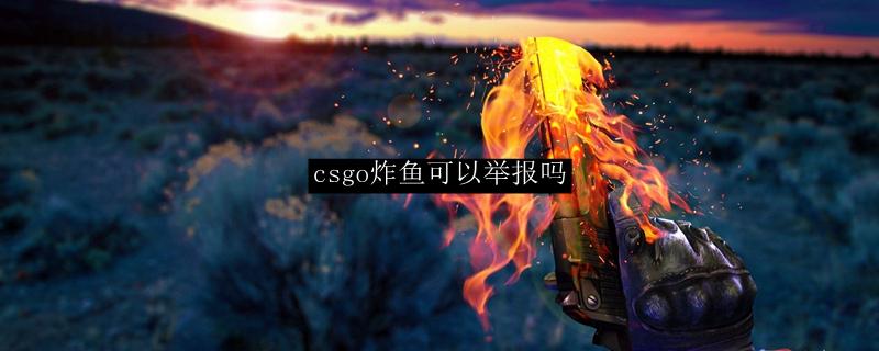 csgo炸鱼可以举报吗-炸鱼可以举报吗详情