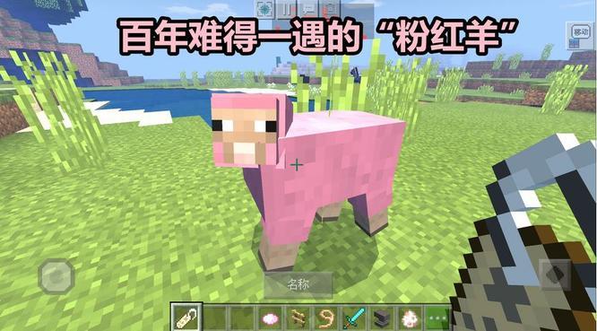 我的世界遇到粉色羊的几率是多少-遇到粉色羊的几率介绍