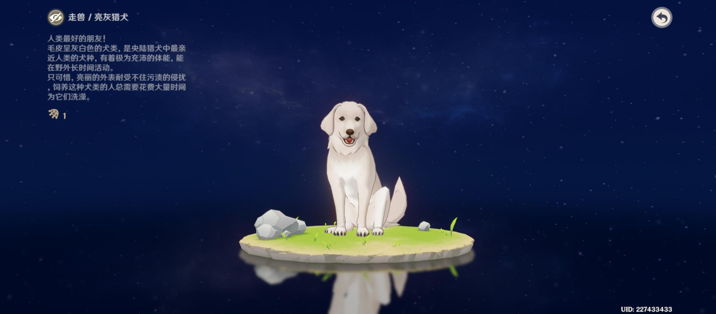 原神亮灰猎犬在哪