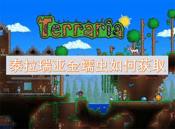 泰拉瑞亚金蠕虫如何获取-金蠕虫获取方法