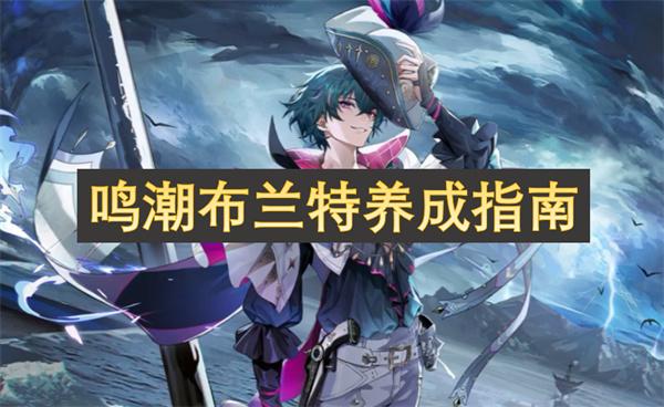 鸣潮布兰特怎么养成