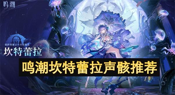 鸣潮坎特蕾拉声骸怎么选择-坎特蕾拉声骸推荐