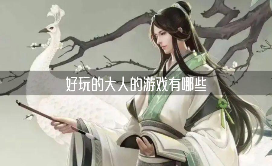 好玩的大人的游戏有哪些